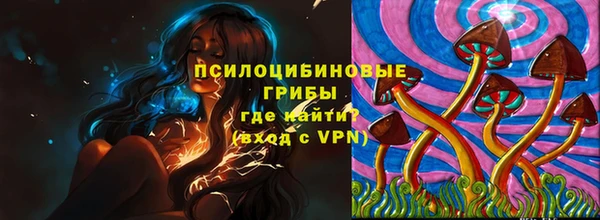 трава Беломорск