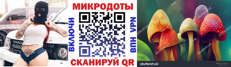 цена Бородино Галлюциногенные грибы Cubensis
